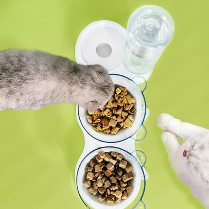 Wholesale Dog Double Bowl Automatic Pet Feeder Drinker Cat Bowl Dog Bowl