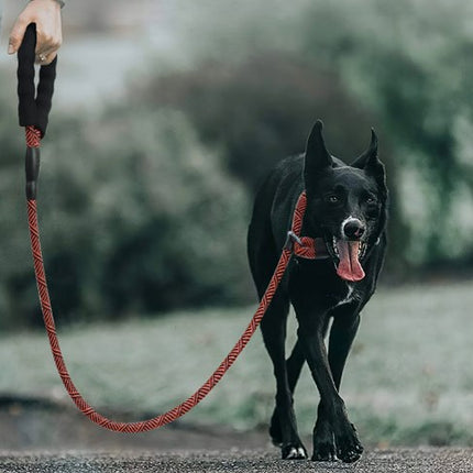 Pet Leash Anti-explosion P Chain Dog Walking Rope Medium and Large Dog Leash 