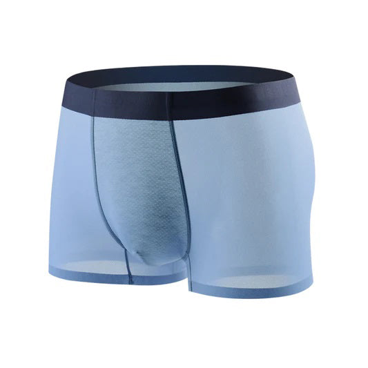 Wholesale Men's Ice Silk Traceless Underwear Breathable Mesh Antibacterial Summer Boxer