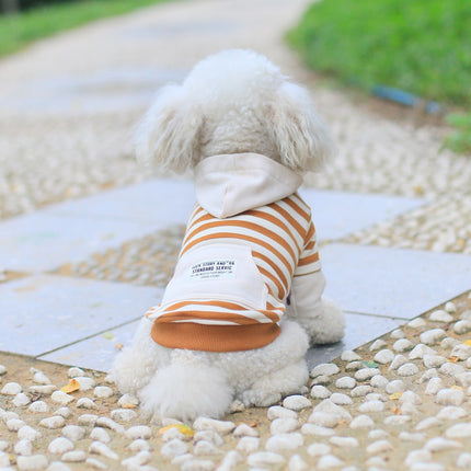 Dog Spring Autumn Cotton HoodiesTeddy Bichon Pet Cat Two-legged Clothing