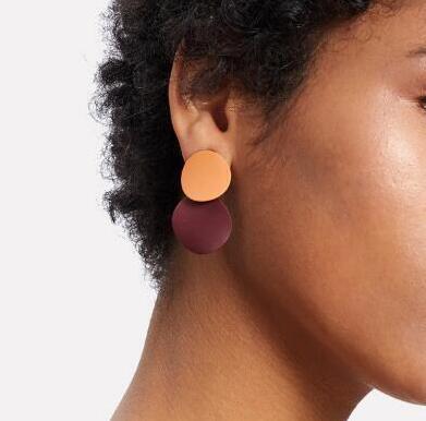 Colorblock Disc Geometric Contrast Earrings